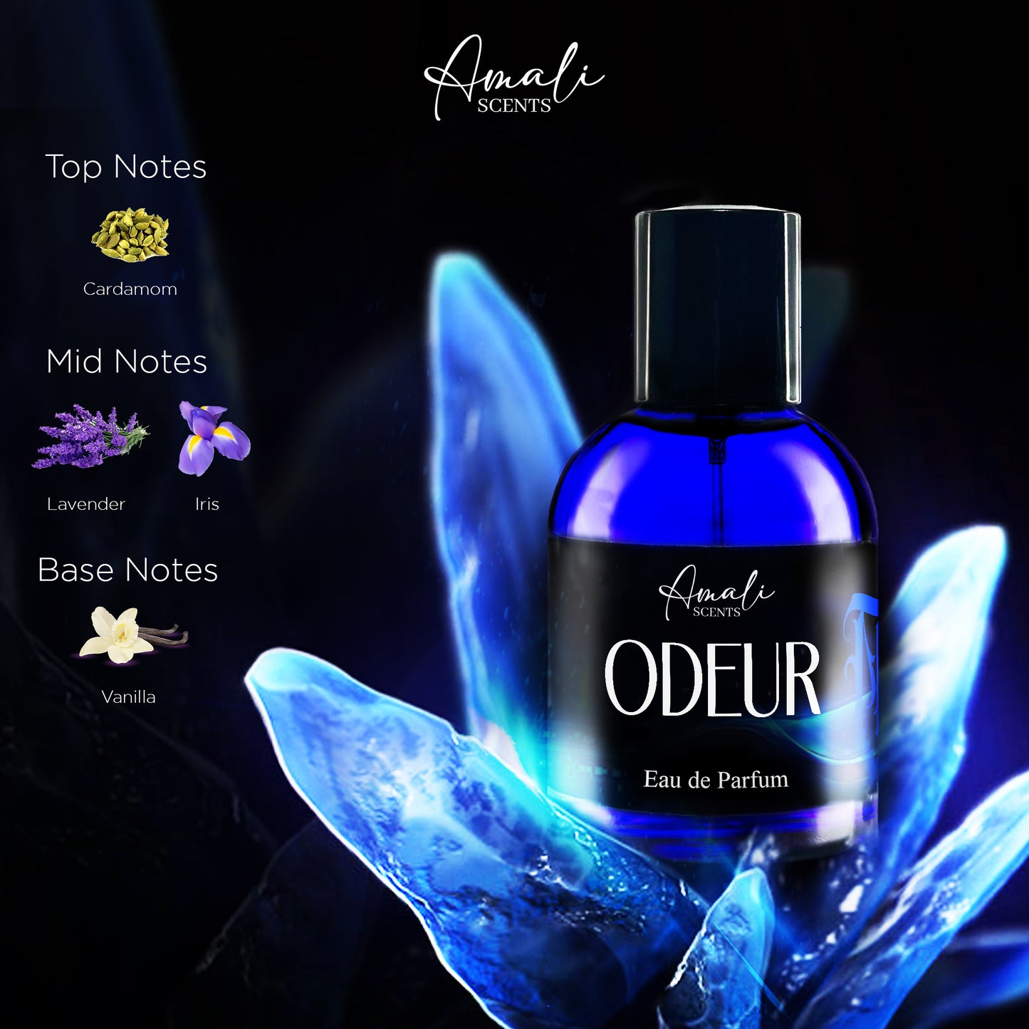 "AMALI SCENTS Luxe Trio – Dinero, Blaze & Odeur | Ultimate Luxury Perfume Set"